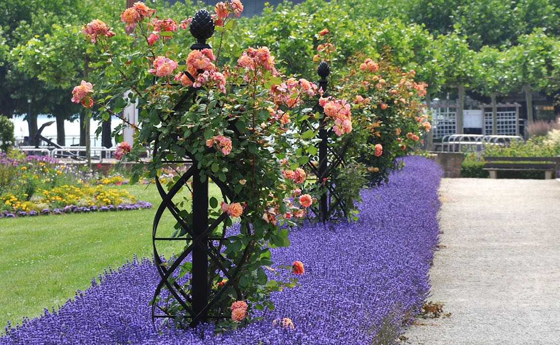 Arche jardin métal 'Rose' - Vente en ligne au meilleur prix