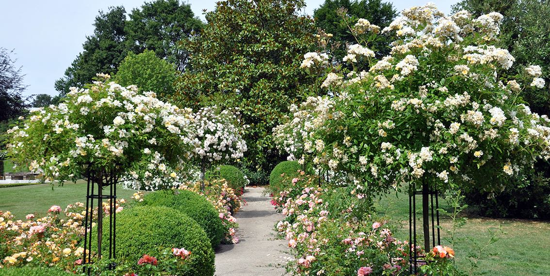 Garden Mile Grand obélisque ou arche de jardin en bois, arche extérieure,  robuste pour roses, plantes grimpantes, structure de support, décoration de