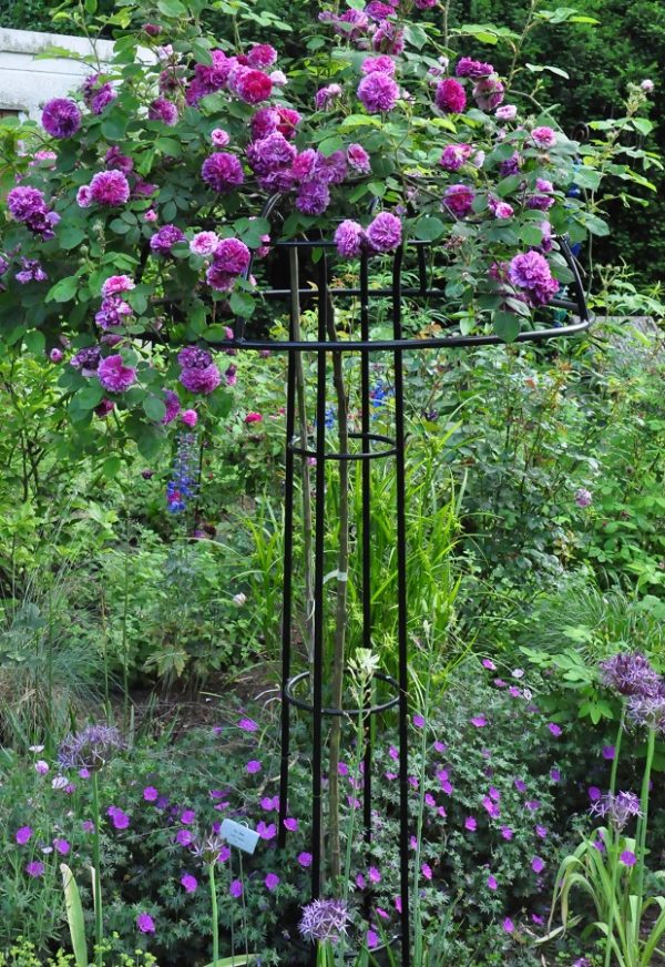 Classic Garden Elements' Giverny Rose Umbrella Support, hot-dip galvanised and powder coated in black