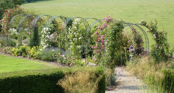 A rose tunnel created by installing nine Classic Garden Elements Bagatelle Round-Top Garden Arches in a row