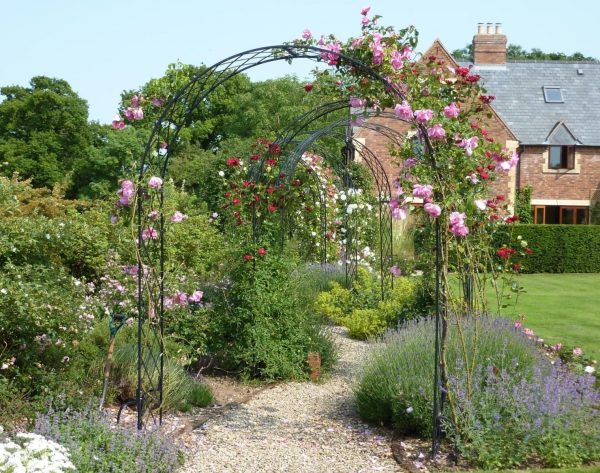 Several rose-covered Bagatelle Round-Top Garden Arches by Classic Garden Elements creating a stunning floral walkway in an English garden