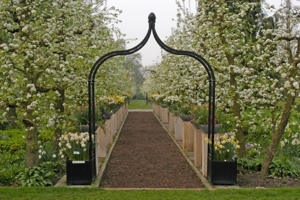Freestanding Brighton Garden Arch with two Versailles Planters in an orchard in full bloom