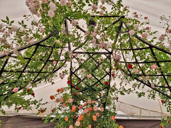 The Kiftsgate Gazebo at the Peter Beales Roses stand at Chelsea Flower Show