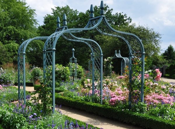 Numerous Brighton Victorian Rose Arches in pastel blue at the Arboretum Ellerhoop