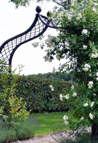 A Classic Garden Elements Brighton Victorian Rose Arch with white roses