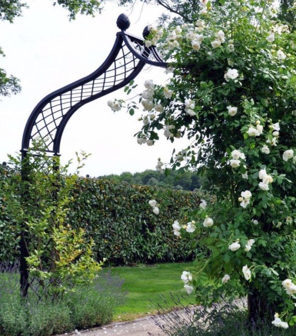 A Classic Garden Elements Brighton Victorian Rose Arch with white roses