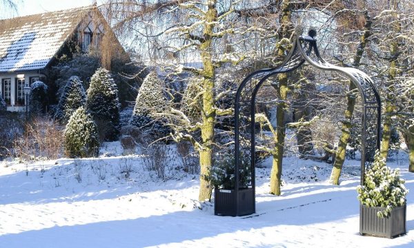 Freestanding Brighton rose arch with Versailles planters in the district teaching garden in Steinfurt