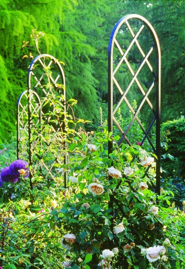 Three Beekman Garden Obelisks covered in English roses and clematis