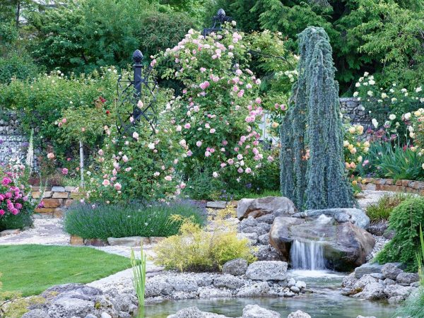 A Classic Garden Elements Charleston Rose Obelisk and Kiftsgate Gazebo in an English rose garden in Liezen, Austria
