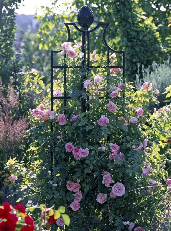 Rose Obelisk II by Classic Garden Elements in black