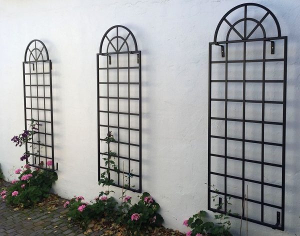 Three metal Orangery Wall Trellises by Classic Garden Elements, mounted on a white wall and planted with clematis and geraniums