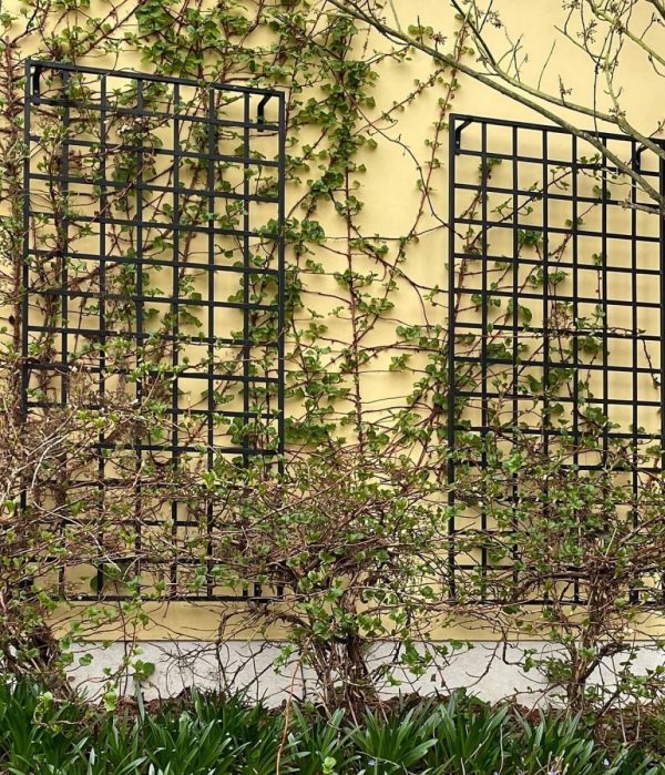The Classic Garden Elements Large Modern Wall Trellis providing growing support to a climbing hydrangea in early spring