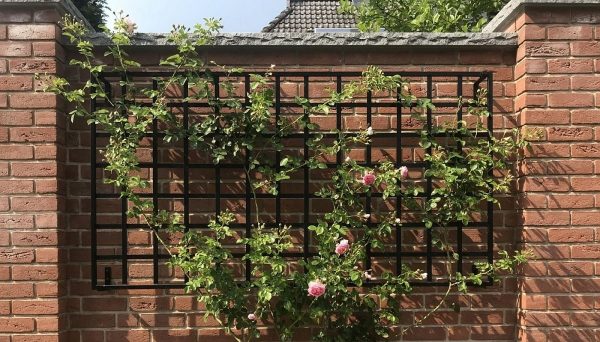 The Large Modern Wall Trellis by Classic Garden Elements mounted on a brick wall and covered with climbing roses