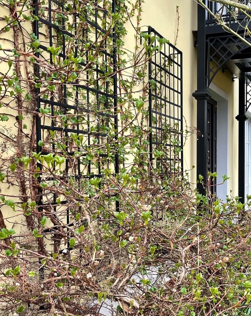 Large Modern Wall Trellis. Made of steel. Galvanised and powder coated.