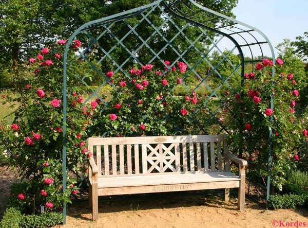 The Victorian Rose Arbour by Classic Garden Elements in green, covered in Kordes roses
