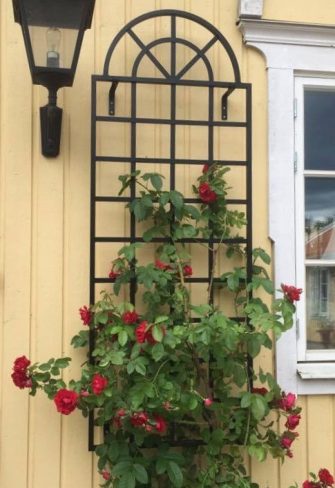 Orangery Wall Trellis covered in red climbing roses on a house in Sweden