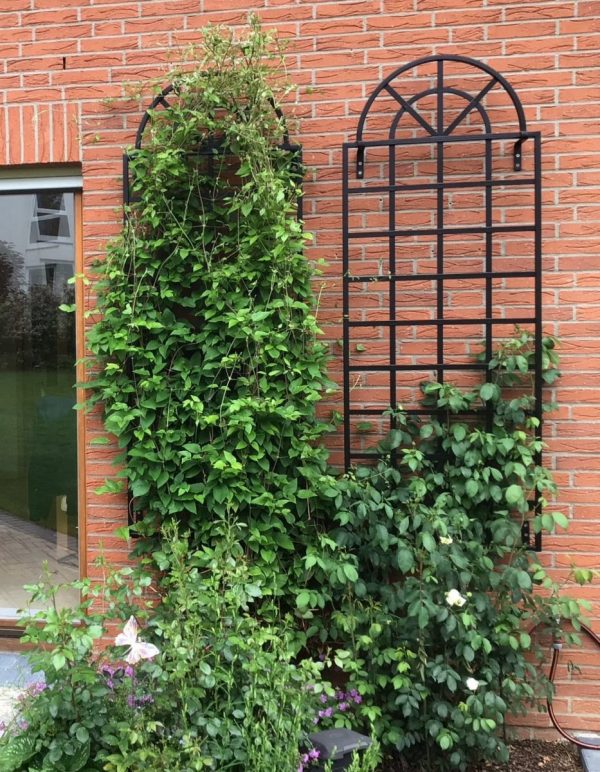 The Orangery Wall Trellis by Classic Garden Elements covered in clematis and climbing roses