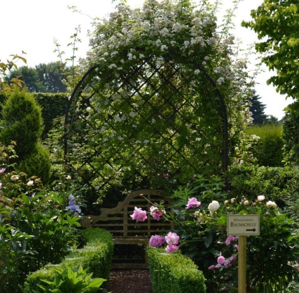 The Villandry Rose Arbour by Classic Garden Elements with rambler 'Bobbie James' in the Garden of Roses in Spenge