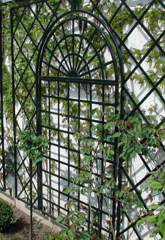 Treillage Metal Wall Trellis on a white garage wall with Virginia creeper growing up it