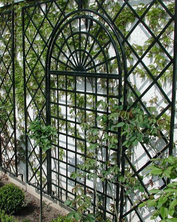 Treillage Metal Wall Trellis on a white garage wall with Virginia creeper growing up it