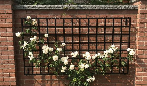 Large Modern Wall Trellis by Classic Garden Elements installed horizontally and covered with white roses