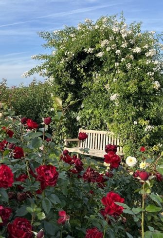 Villandry Rose Metal Arbour - Image 5