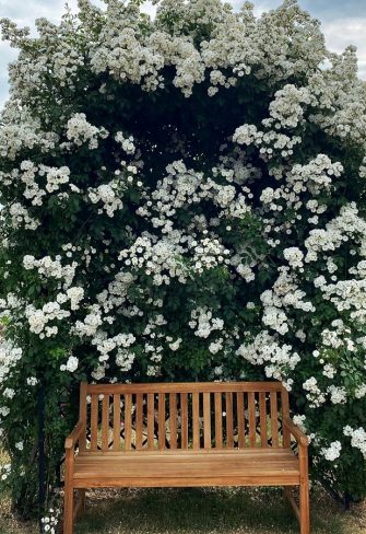 Villandry Rose Metal Arbour - Image 6
