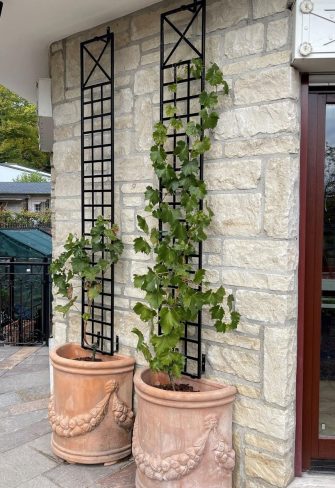 Classic Garden Elements' Croome Espalier Trellis on a house wall