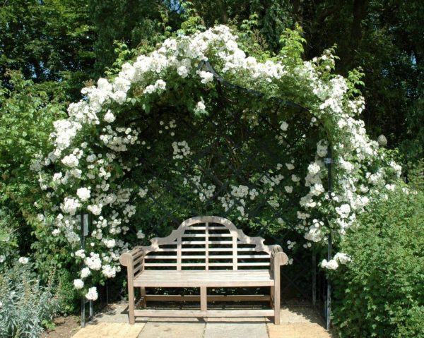 The Victorian Rose Arbour by Classic Garden Elements, covered in the rose 'Rambling Rector' at Peter Beales Roses in Attleborough