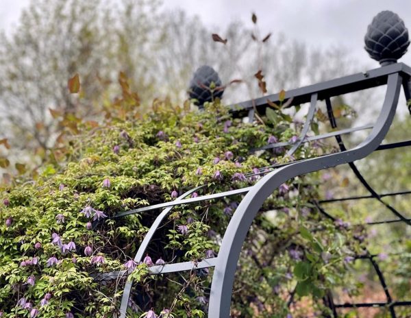 Close-up of the arch and pine-cone finials of the Victorian Rose Arbour by Classic Garden Elements, seen here covered in clematis