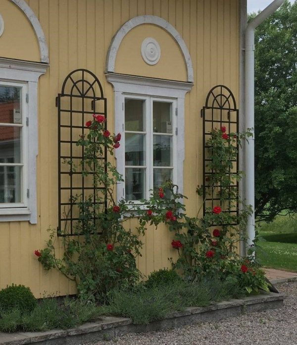 Two Orangery-style metal wall trellises planted with red roses on a yellow façade