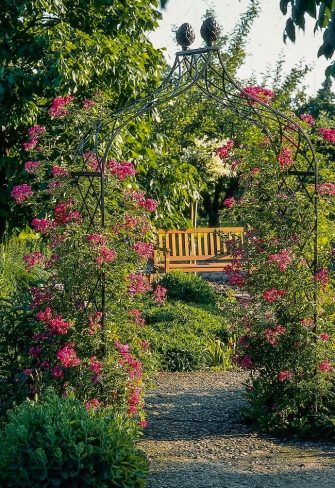 Climbing rose 'Maria Lisa' growing happily on a Classic Garden Elements Kiftsgate Victorian Rose Arch in the district teaching garden in Steinfurt