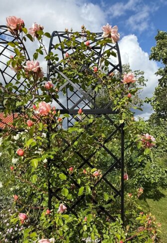 Classic Garden Elements presents the 'Bagatelle' rose arches, showcased here in the lush garden of Berenike Munthe. These elegant arches bring a romantic and timeless charm to any garden, ideal for clients who appreciate refined outdoor living.