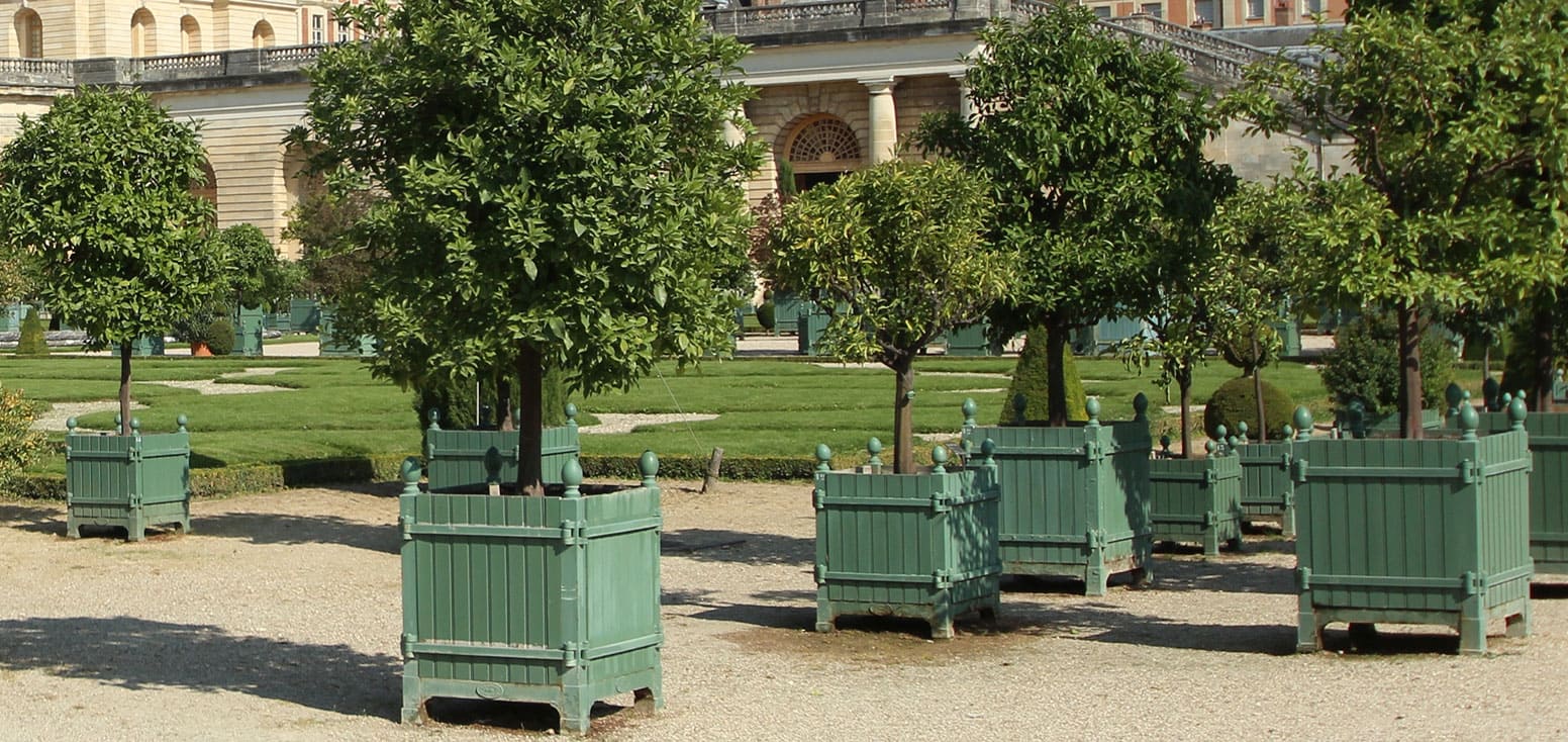 Orangerie_du_chateau_de_Versailles-Picture-by-Lionel-Allorge